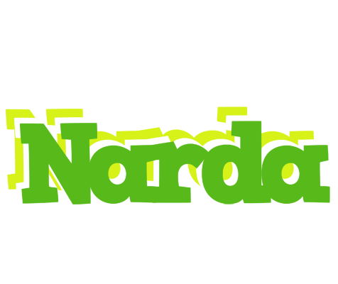 Narda picnic logo