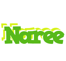 Naree picnic logo