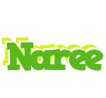 Naree picnic logo
