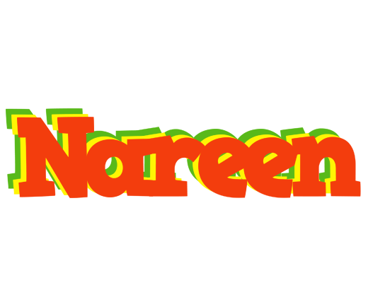 Nareen bbq logo