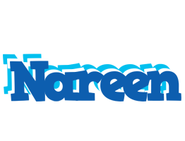 Nareen business logo