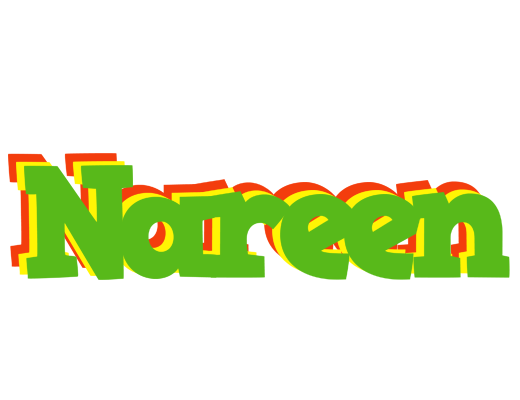 Nareen crocodile logo