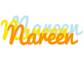 Nareen energy logo