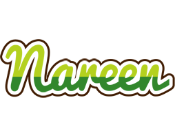 Nareen golfing logo