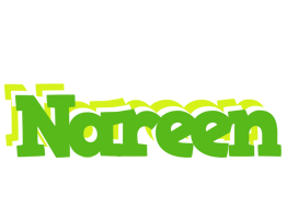 Nareen picnic logo