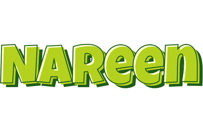 Nareen summer logo
