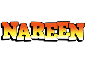 Nareen sunset logo