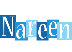 Nareen winter logo