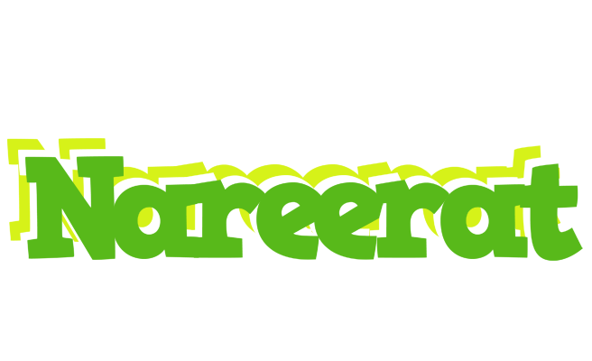 Nareerat picnic logo