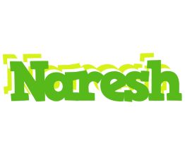 Naresh picnic logo