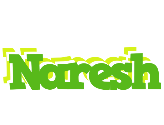 Naresh picnic logo
