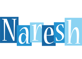 Naresh winter logo
