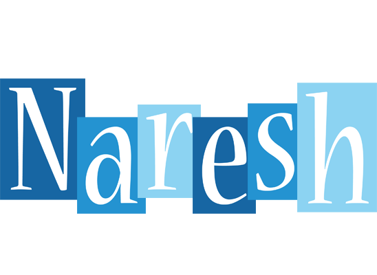 Naresh winter logo