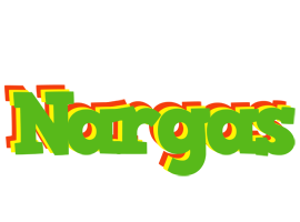 Nargas crocodile logo