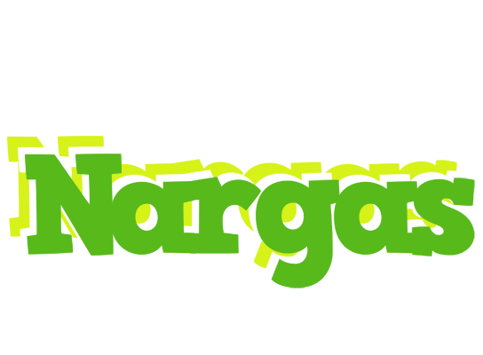 Nargas picnic logo