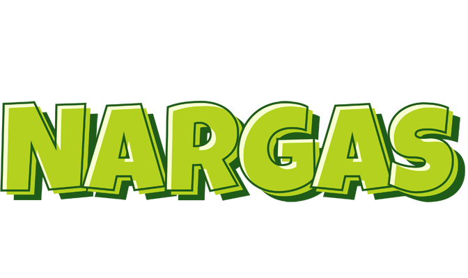 Nargas summer logo
