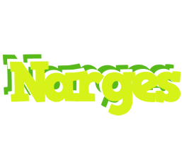 Narges citrus logo