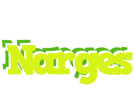Narges citrus logo