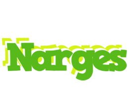 Narges picnic logo