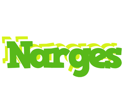 Narges picnic logo