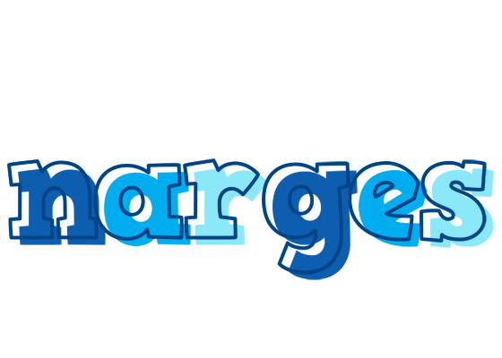 Narges sailor logo