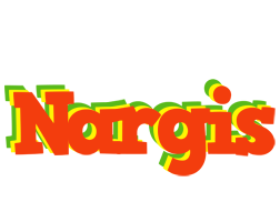 Nargis bbq logo