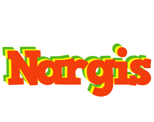 Nargis bbq logo
