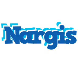 Nargis business logo