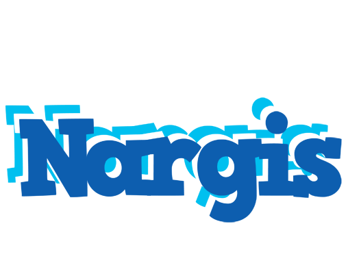 Nargis business logo