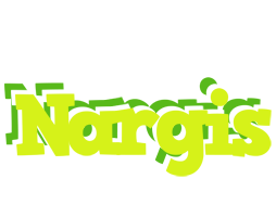 Nargis citrus logo