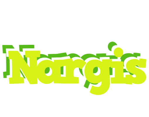 Nargis citrus logo
