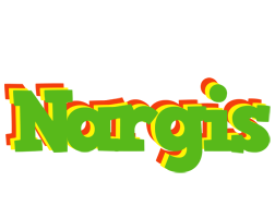 Nargis crocodile logo