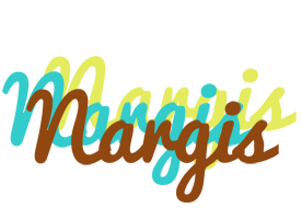 Nargis cupcake logo