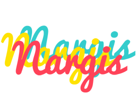 Nargis disco logo