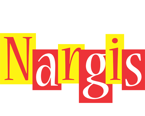 Nargis errors logo