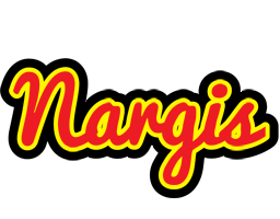 Nargis fireman logo