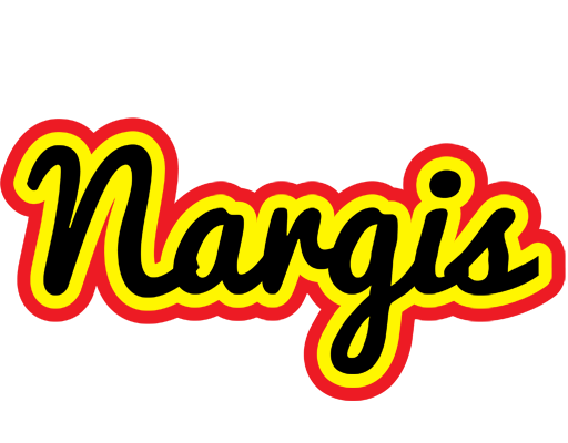 Nargis flaming logo