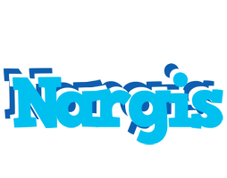 Nargis jacuzzi logo