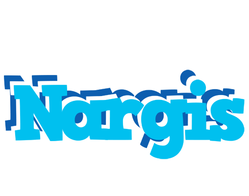 Nargis jacuzzi logo