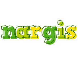 Nargis juice logo