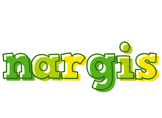 Nargis juice logo
