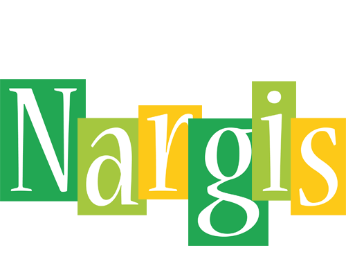Nargis lemonade logo