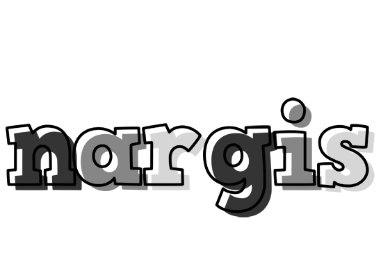 Nargis night logo