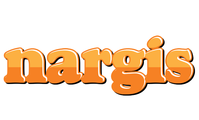 Nargis orange logo