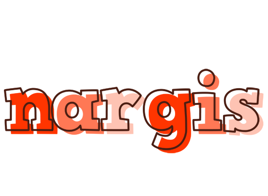 Nargis paint logo