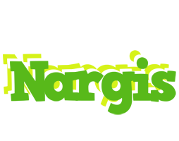 Nargis picnic logo