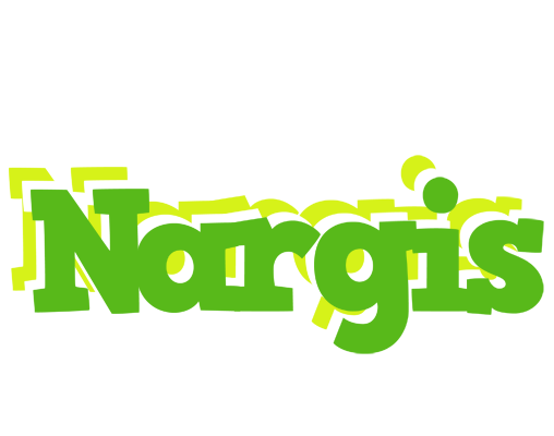Nargis picnic logo