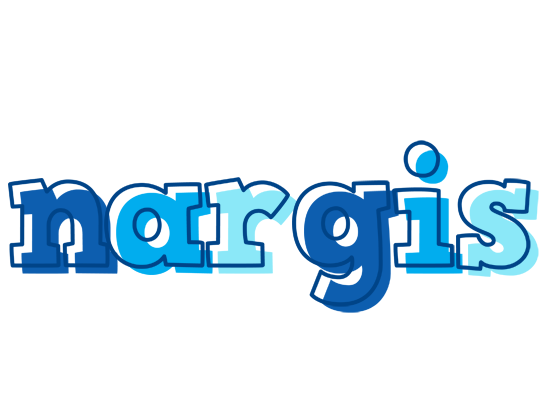 Nargis sailor logo