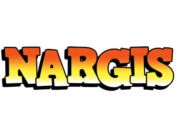 Nargis sunset logo
