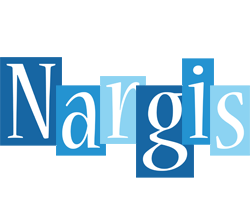 Nargis winter logo